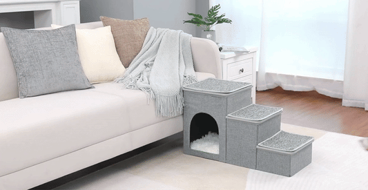 UCR Dog Safety Ramps™