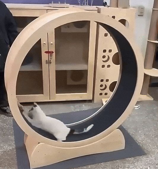 UCR Upgraded Cat Exercise Wheel™