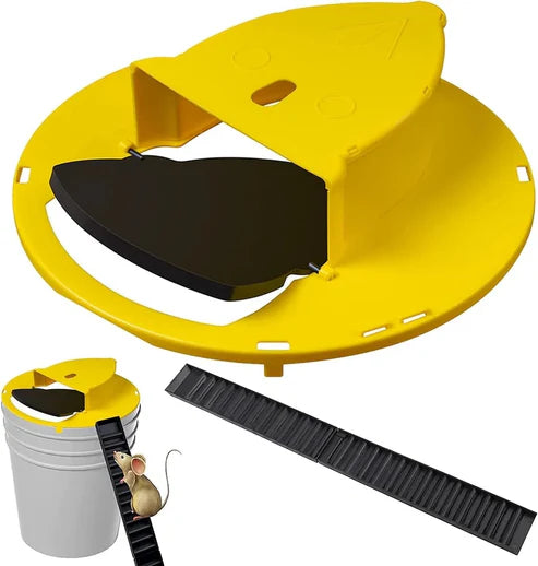 UCR Flap Catch Mouse Trap™