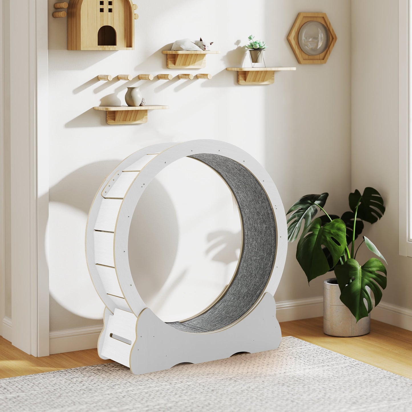 UCR Upgraded Cat Exercise Wheel™