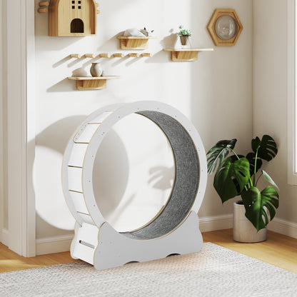 UCR Upgraded Cat Exercise Wheel™