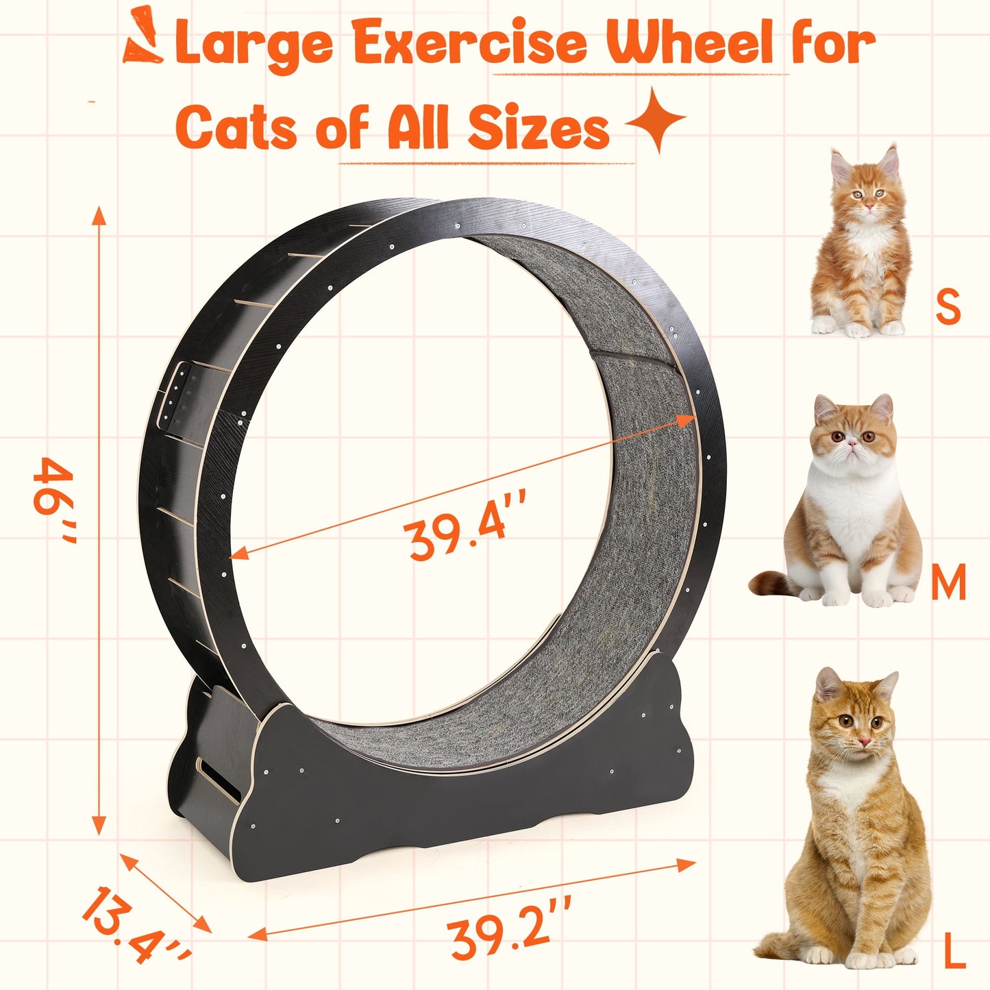 UCR Upgraded Cat Exercise Wheel™