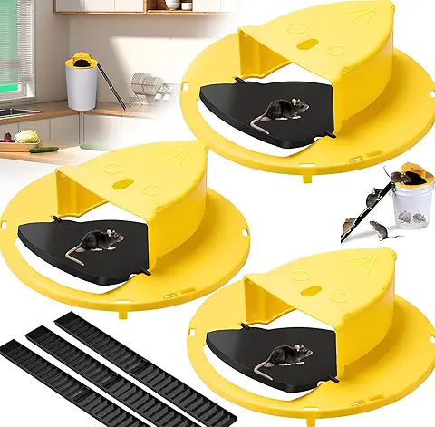 UCR Flap Catch Mouse Trap™