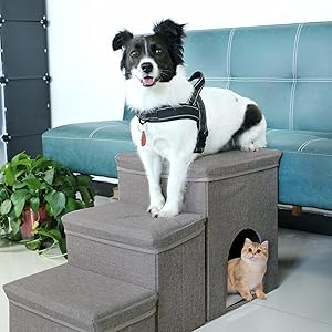 UCR Dog Safety Ramps™