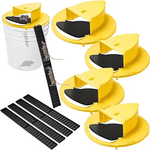 UCR Flap Catch Mouse Trap™