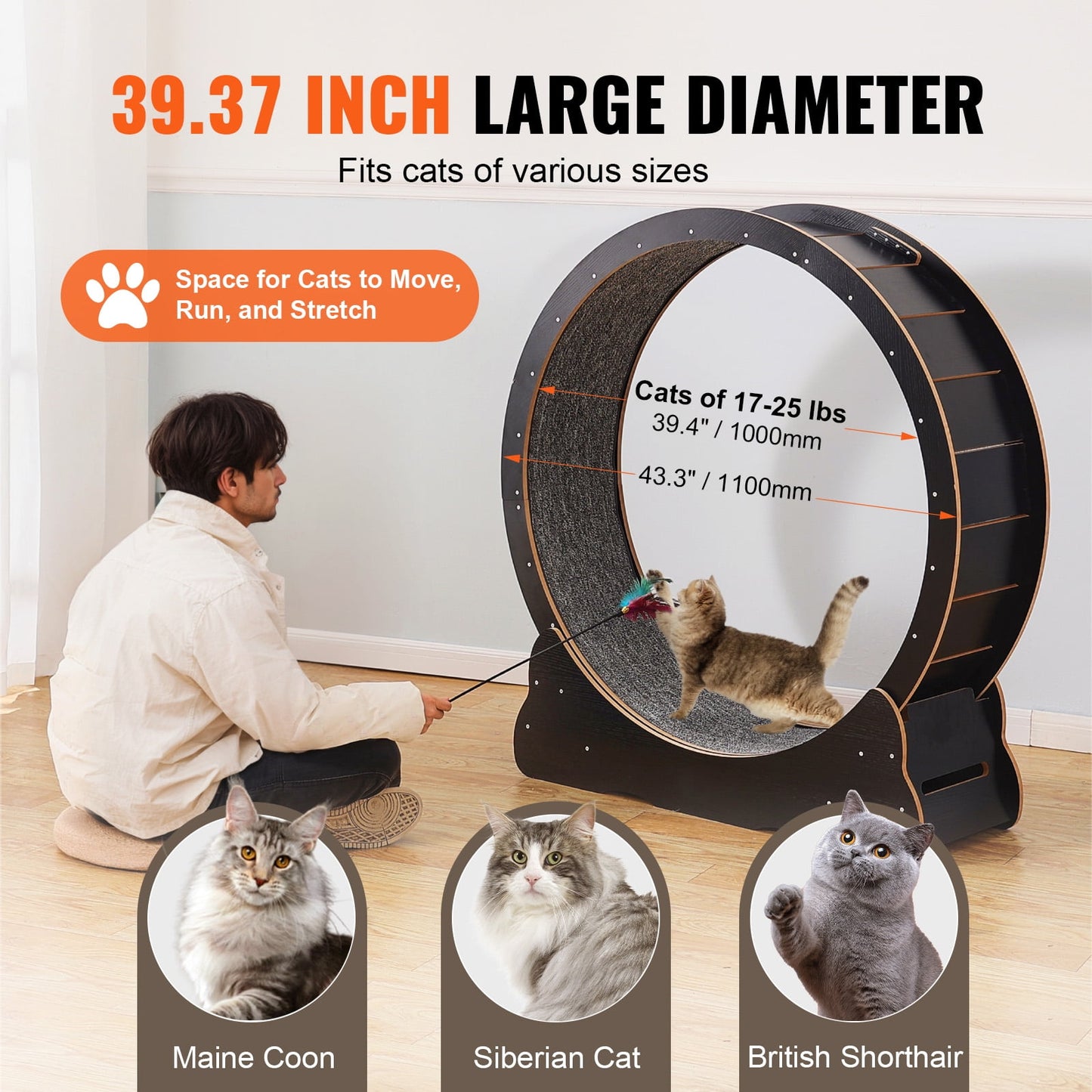 UCR Upgraded Cat Exercise Wheel™