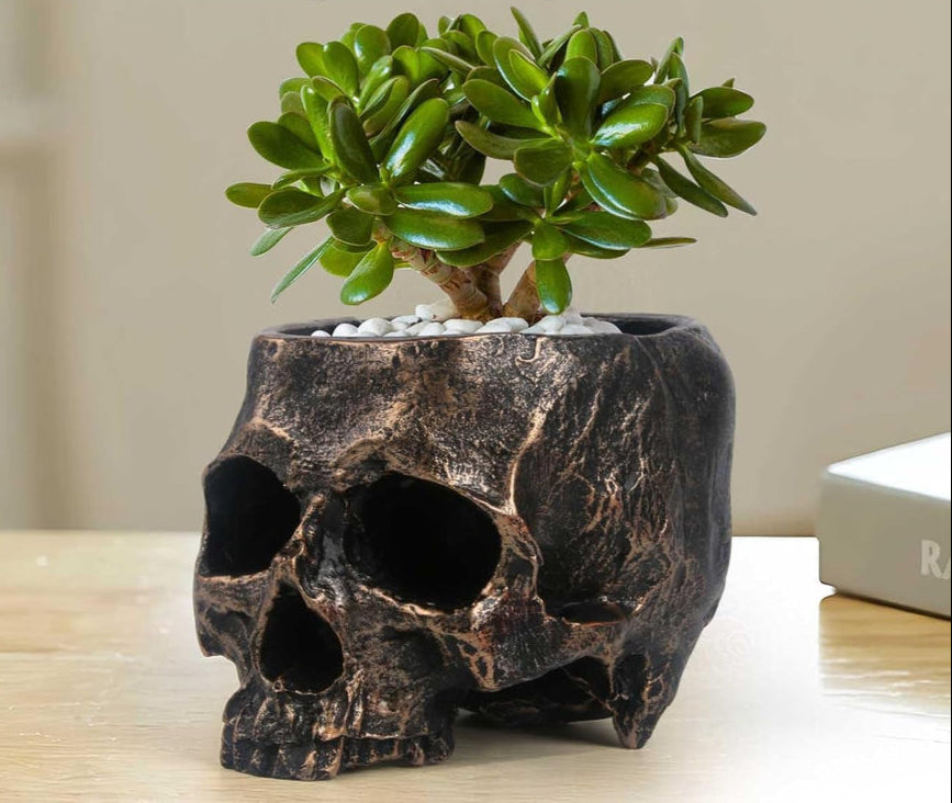 UCR Halloween SkullTreat Pack™