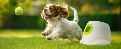 UCR Automatic Tennis Ball launcher For Active Playtime With Dogs™