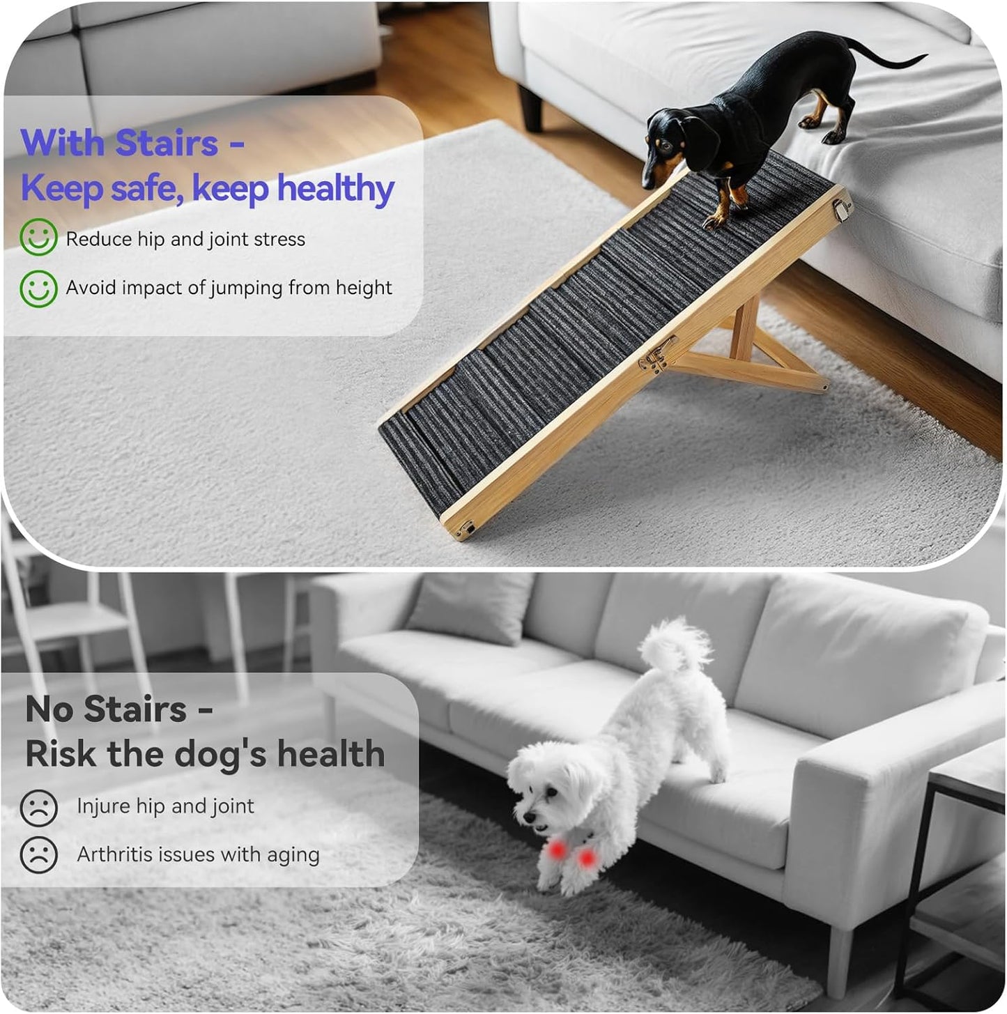 UCR Dog Safety Ramps™