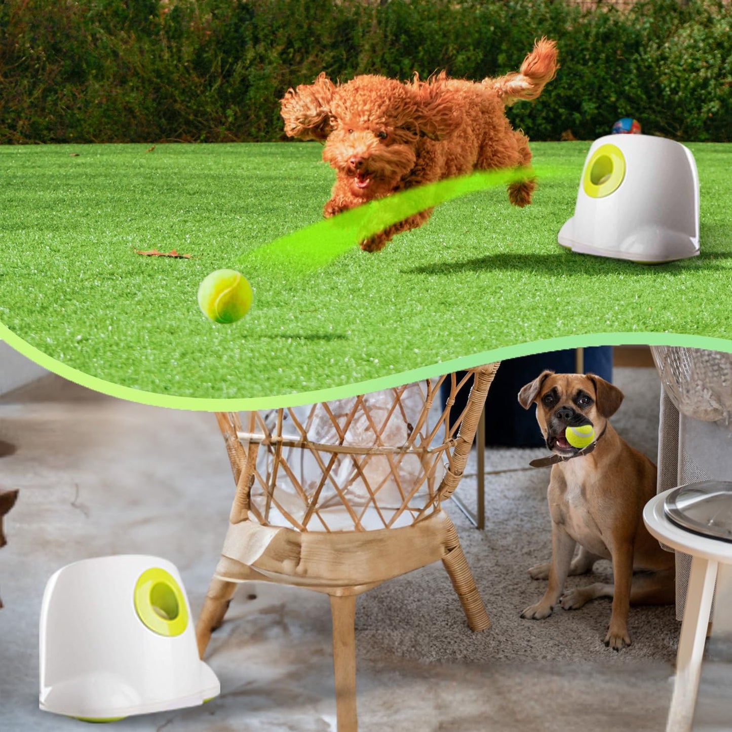 UCR Automatic Tennis Ball launcher For Active Playtime With Dogs™