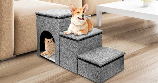 UCR Dog Safety Ramps™