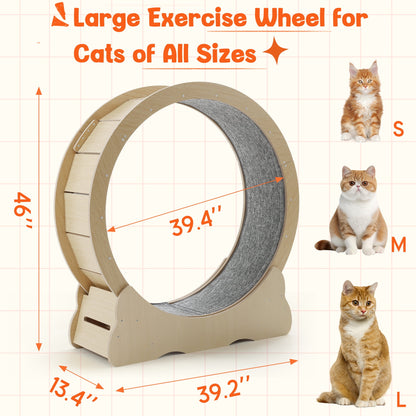 UCR Upgraded Cat Exercise Wheel™