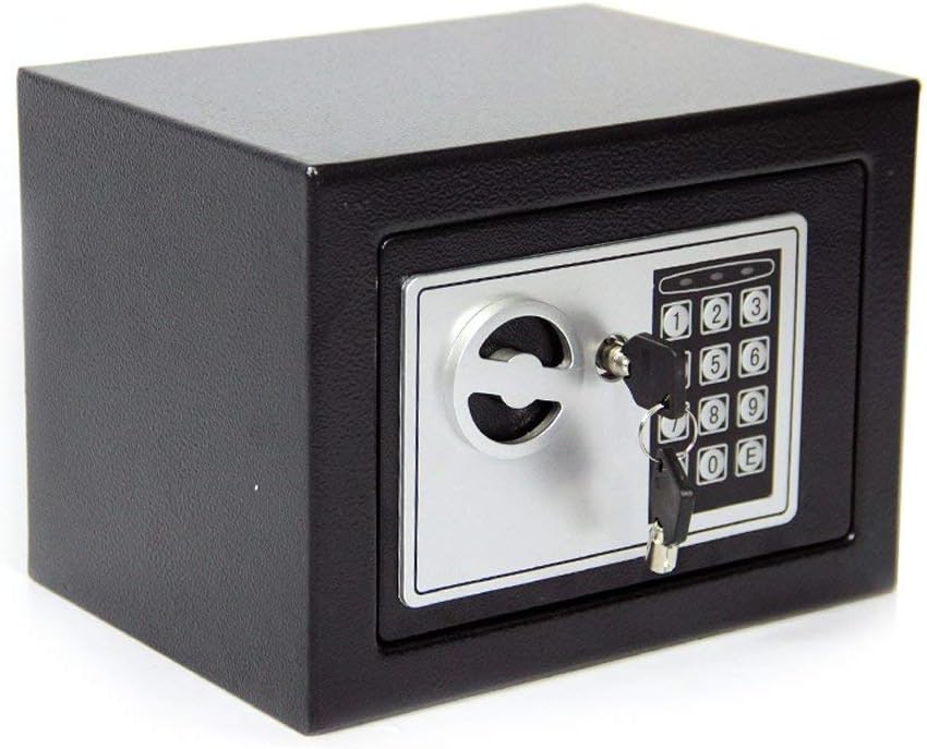 UCR Small Safe For Homes