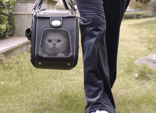 UCR Luxury Designer Tote Premium Leather Handbag Carriers For Small Pets™