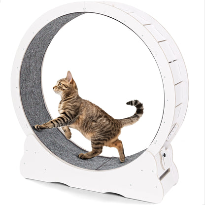 UCR Upgraded Cat Exercise Wheel™