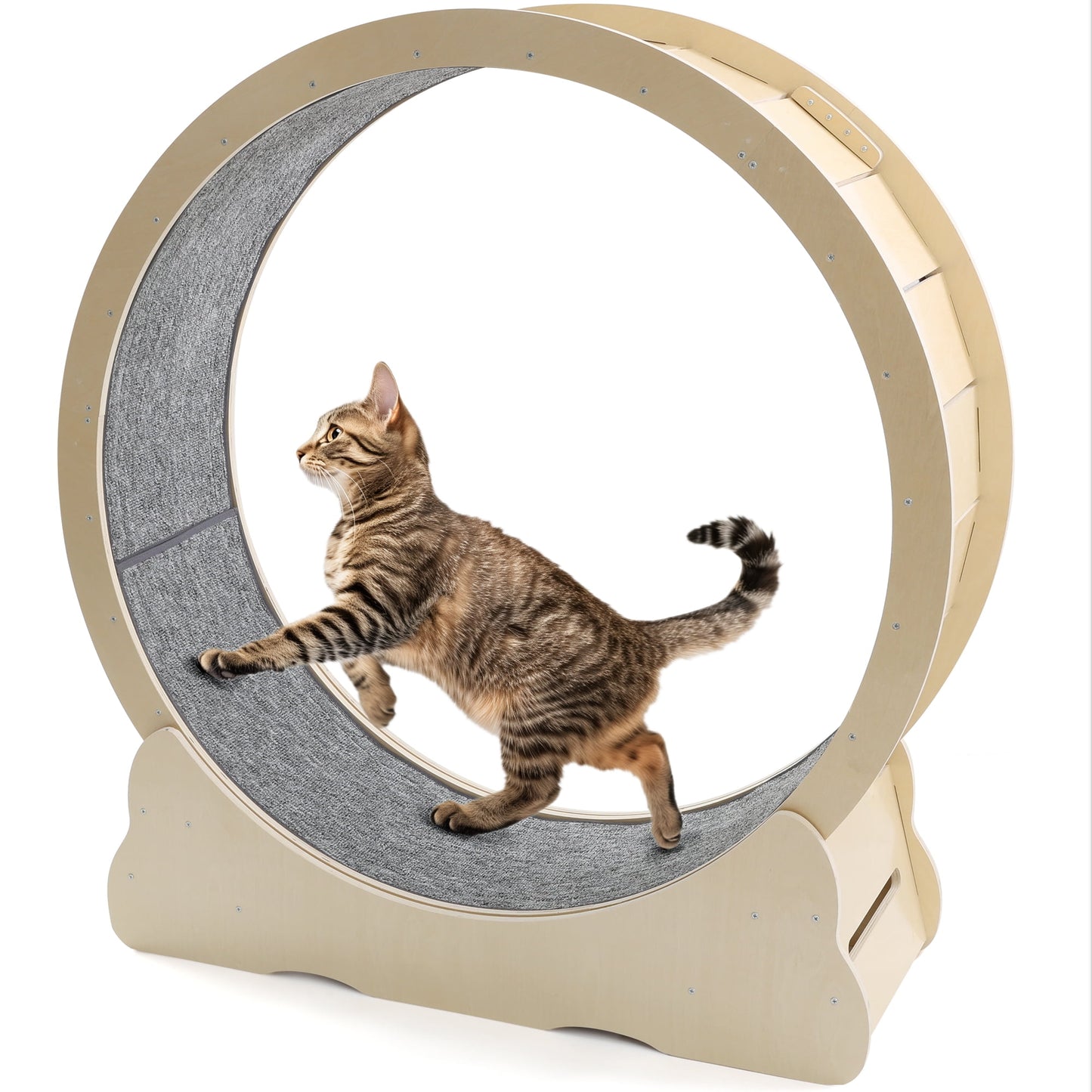 UCR Upgraded Cat Exercise Wheel™