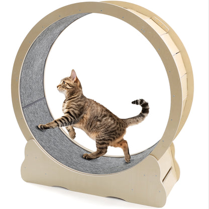 UCR Upgraded Cat Exercise Wheel™