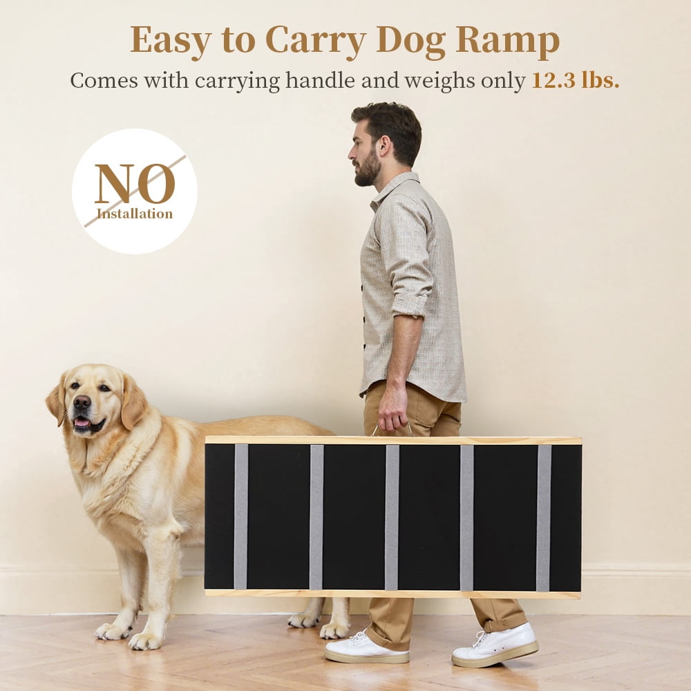 UCR Dog Safety Ramps™