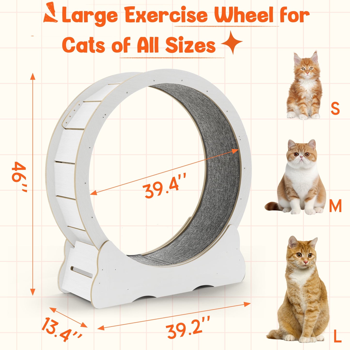 UCR Upgraded Cat Exercise Wheel™