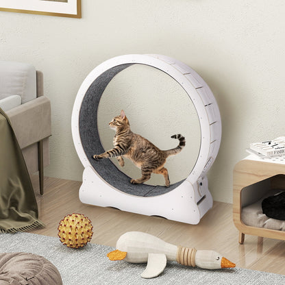 UCR Upgraded Cat Exercise Wheel™