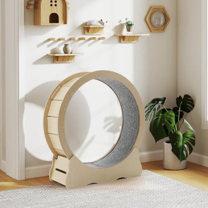 UCR Upgraded Cat Exercise Wheel™