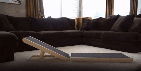 UCR Dog Safety Ramps™