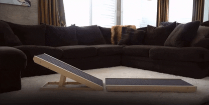 UCR Dog Safety Ramps™