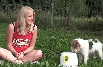 UCR Automatic Tennis Ball launcher For Active Playtime With Dogs™