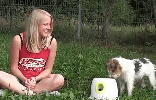 UCR Automatic Tennis Ball launcher For Active Playtime With Dogs™