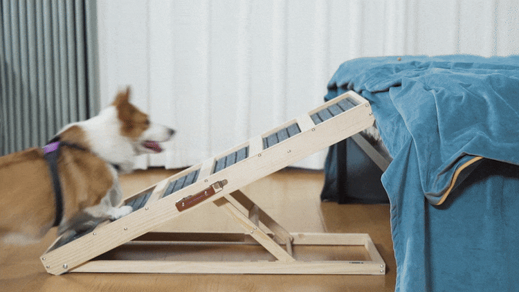 UCR Dog Safety Ramps™