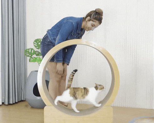 UCR Upgraded Cat Exercise Wheel™