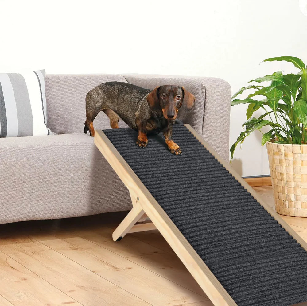 UCR Dog Safety Ramps™