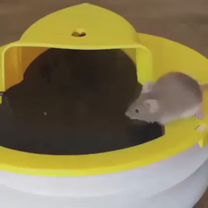 UCR Flap Catch Mouse Trap™