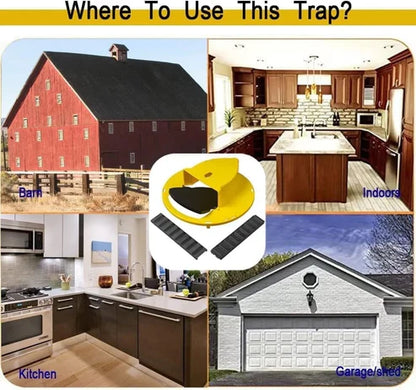 UCR Flap Catch Mouse Trap™